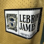 LeBron James Stitched High School Irish Jersey Size XS. #23 Brand New Never Worn - Image 3