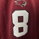 Headgear Marvin Harrison Jr. Football Jersey White Red Size L